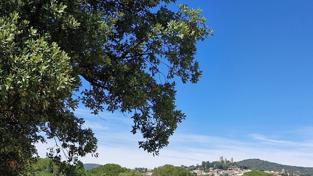 Photo of Outdoor in Cogolin