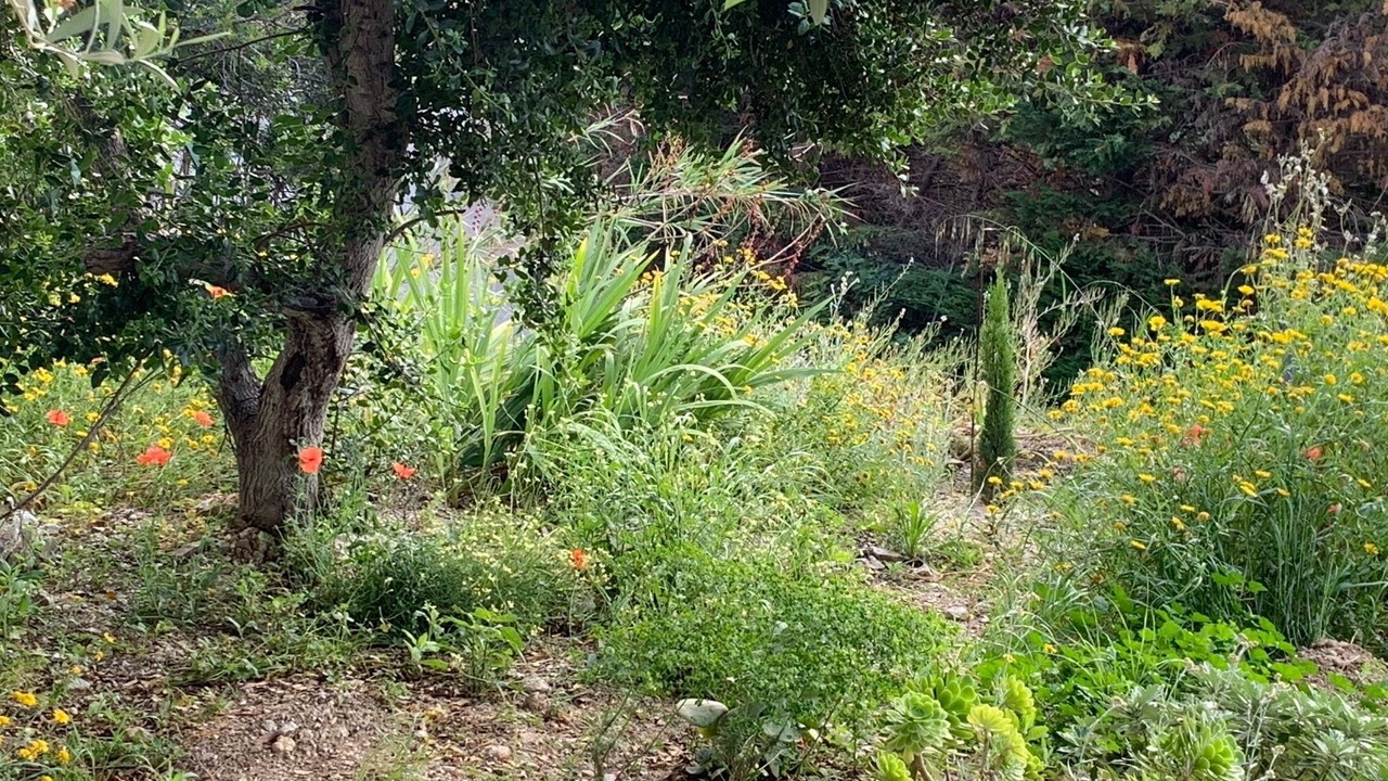 Photo of Outdoor in Cavaliere