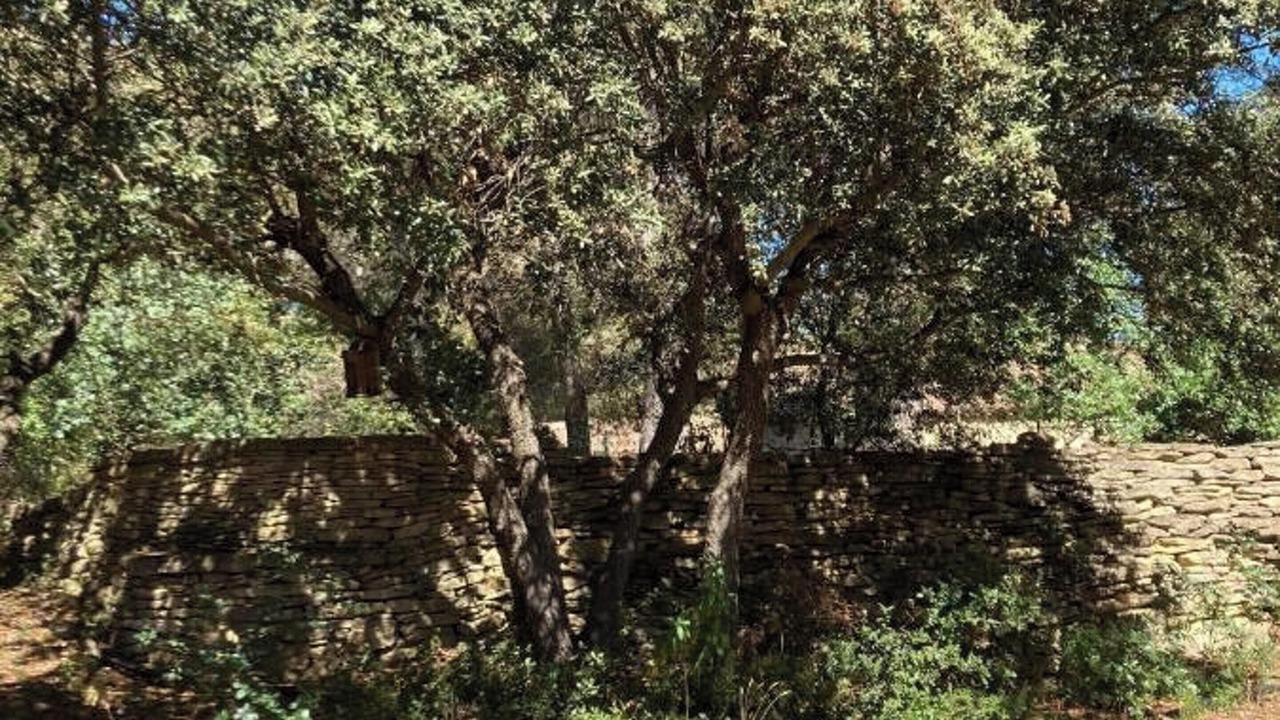 Photo of Outdoor in Cornillon-Confoux