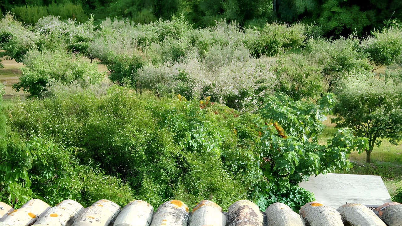 Photo of Outdoor in Saint-Michel-l'Observatoire