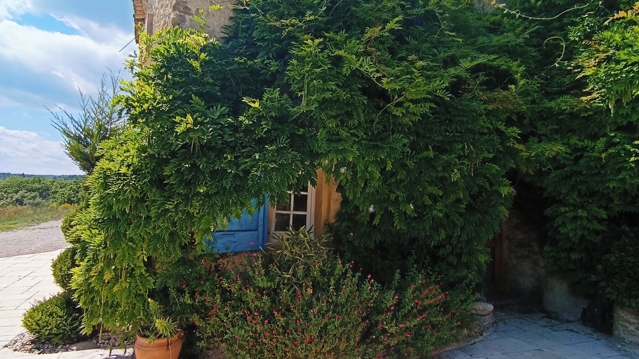 Photo of Outdoor in Forcalquier