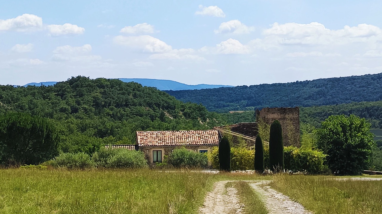 Photo of Others in Forcalquier