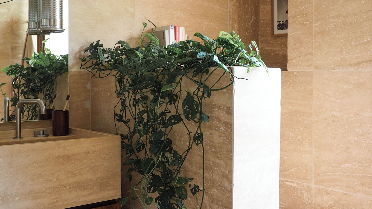 Photo of Bathroom in Sormiou