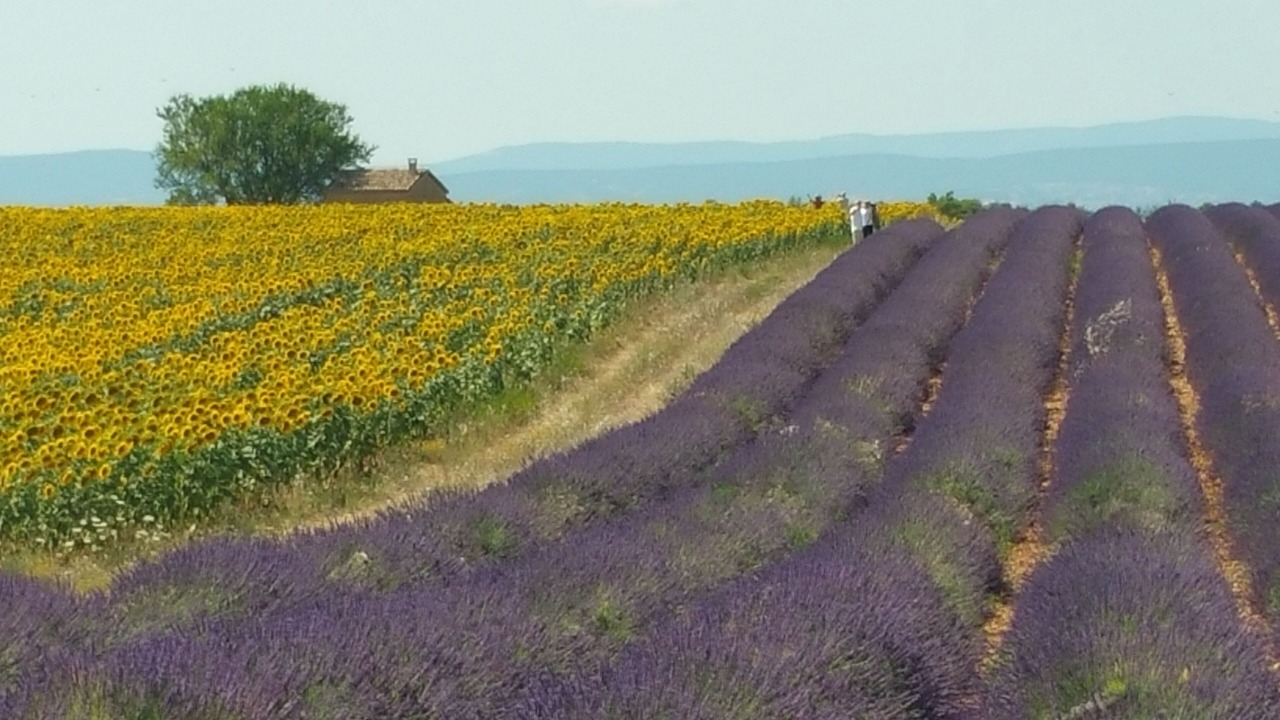 Photo of Outdoor in Greoux-les-Bains