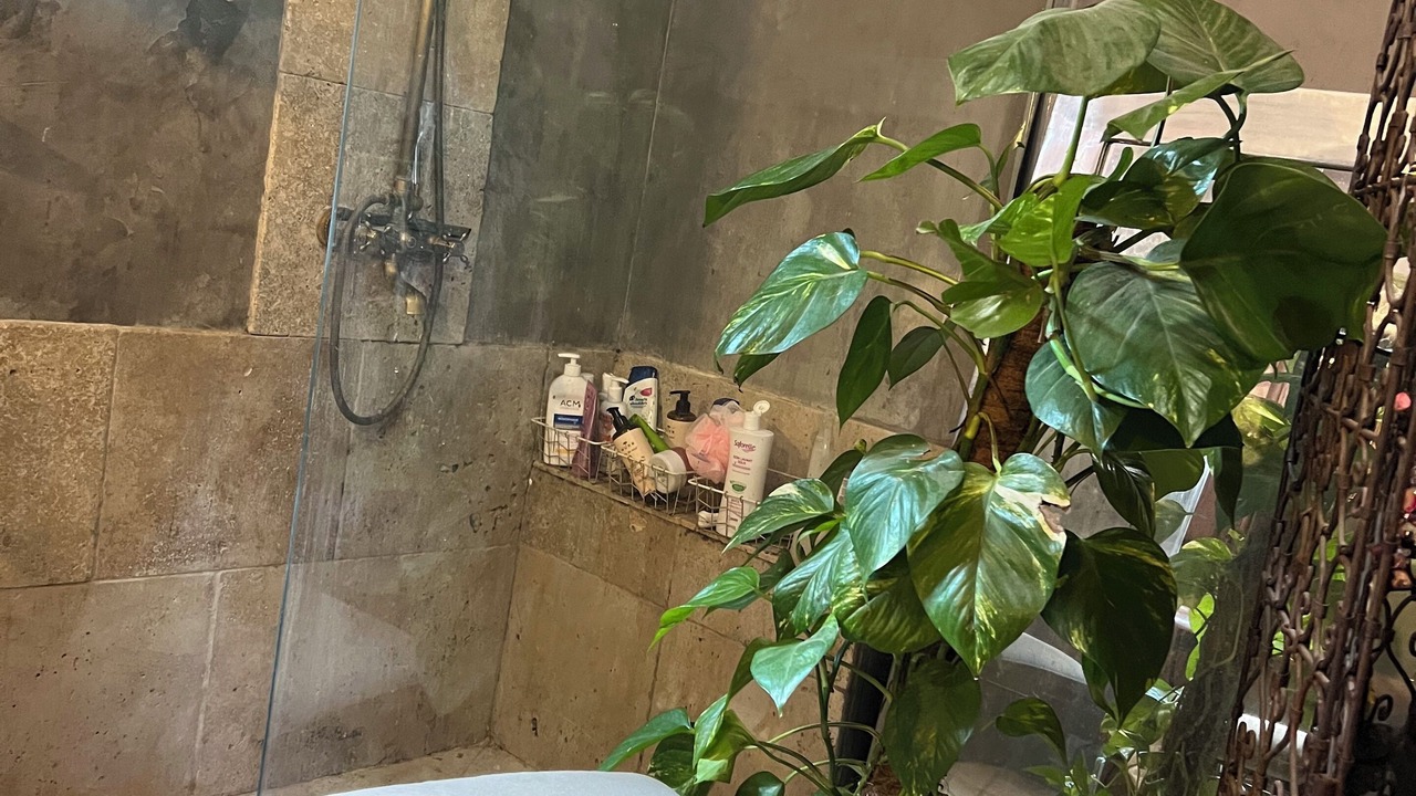 Photo of Bathroom in Evenos