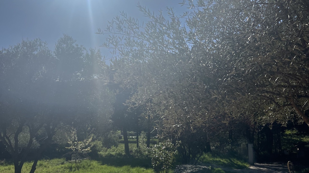 Photo of Outdoor in Evenos