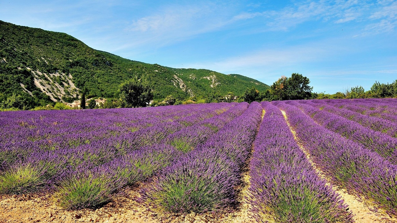 Photo of Outdoor in Saignon