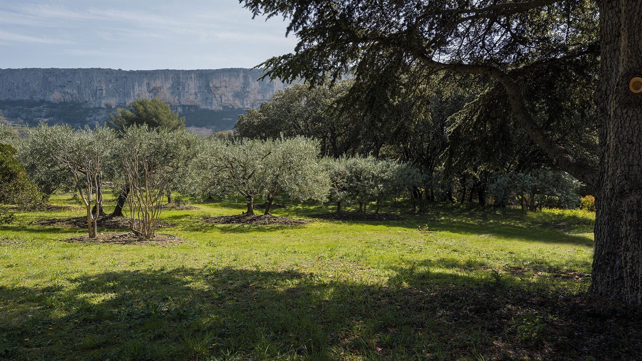 Photo of Outdoor in Lioux