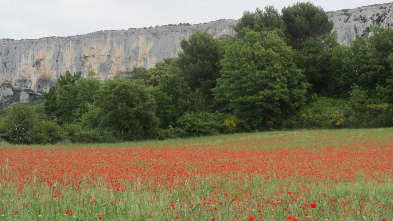 Photo of Outdoor in Lioux