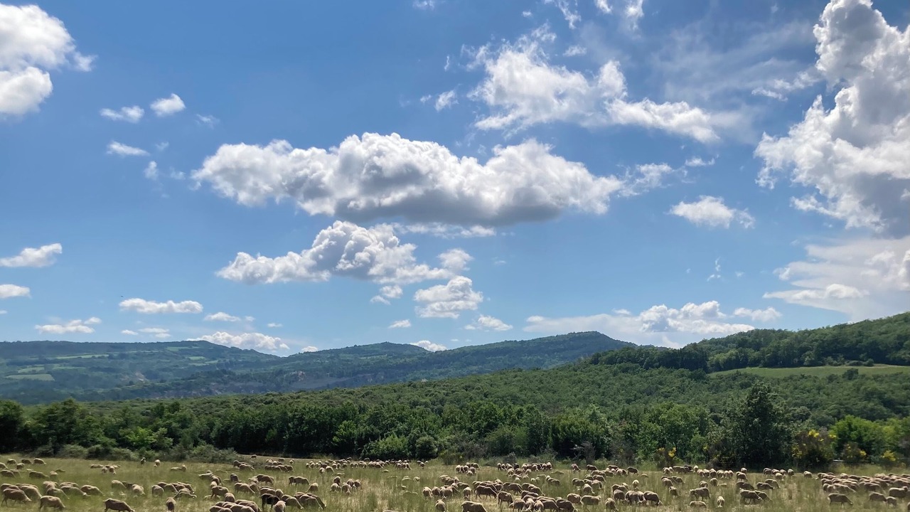 Photo of Outdoor in Castellet