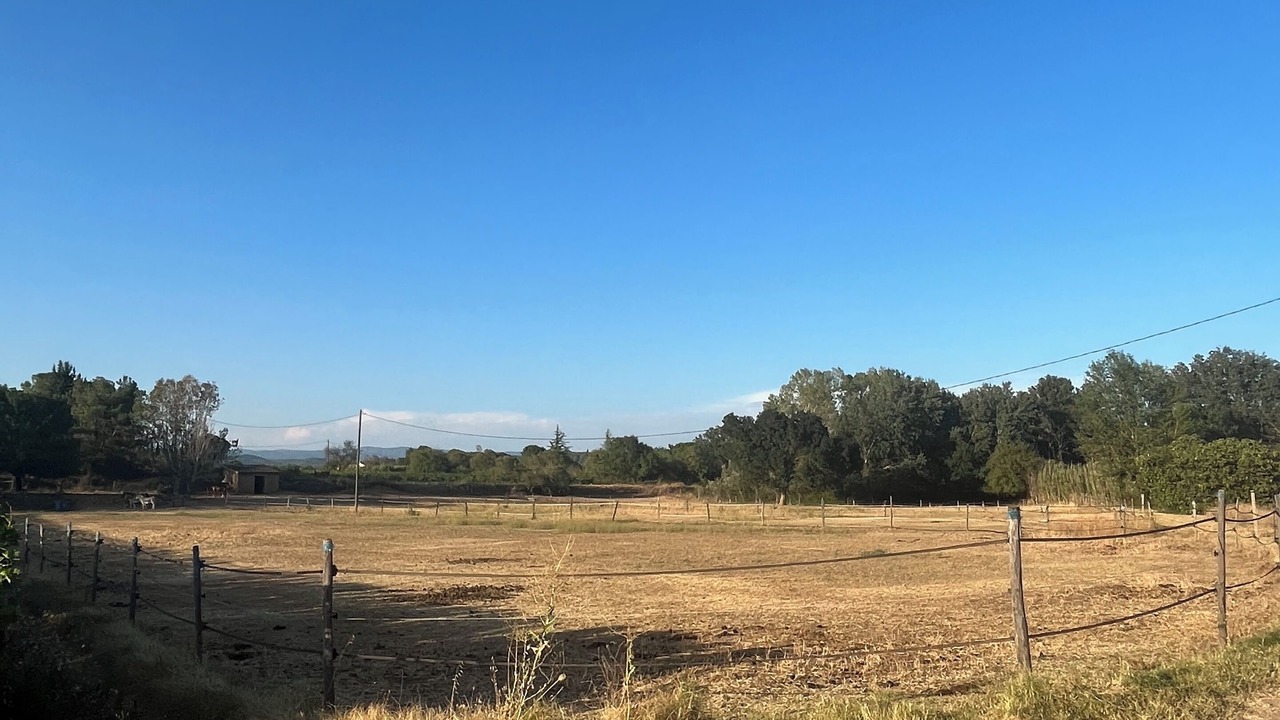 Photo of Others in Montfort-sur-Argens