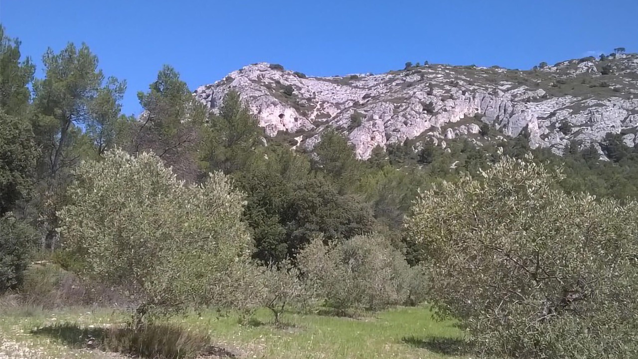 Photo of Others in La Bastide-des-Jourdans
