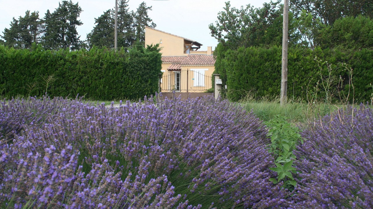Photo of Outdoor in Le Thor