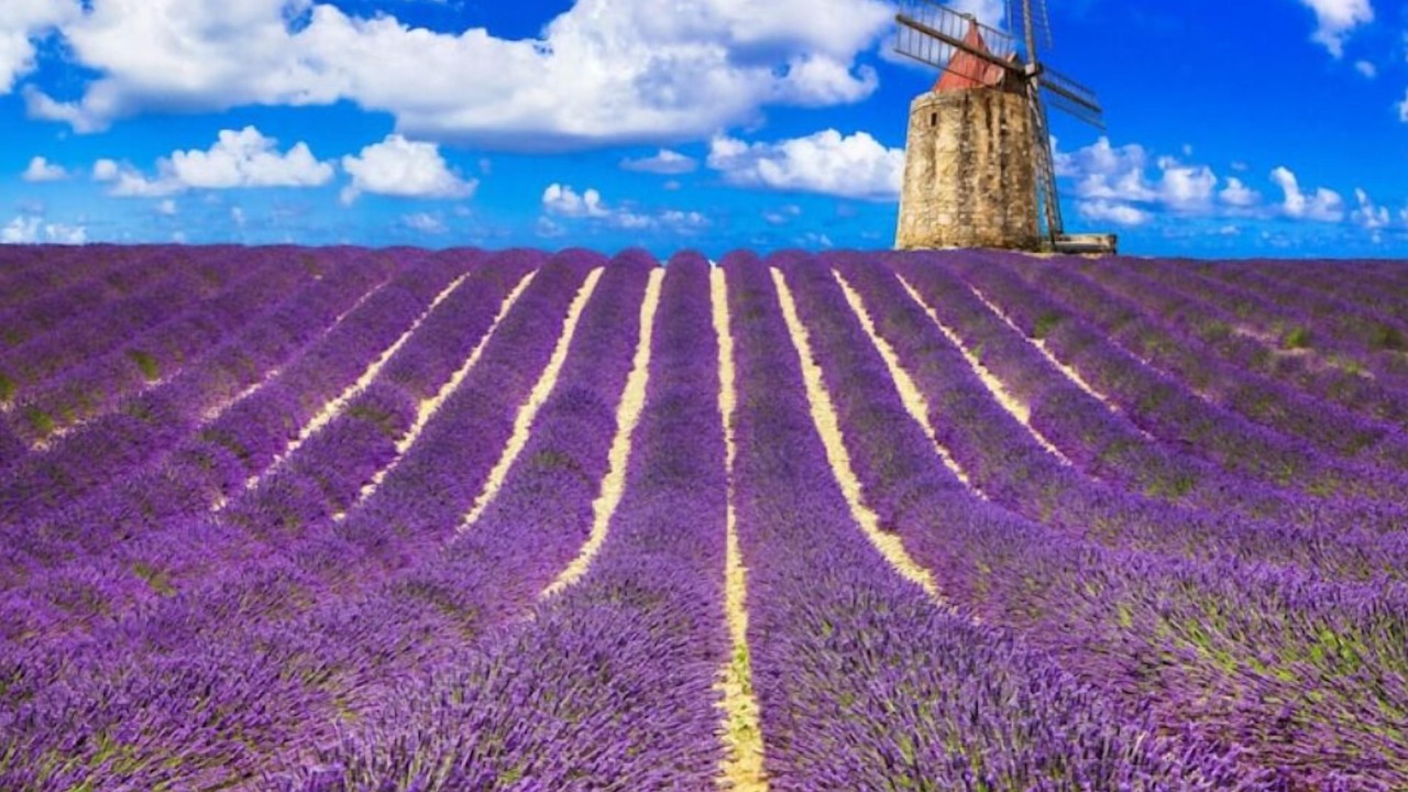 Photo of Others in Aix-en-Provence