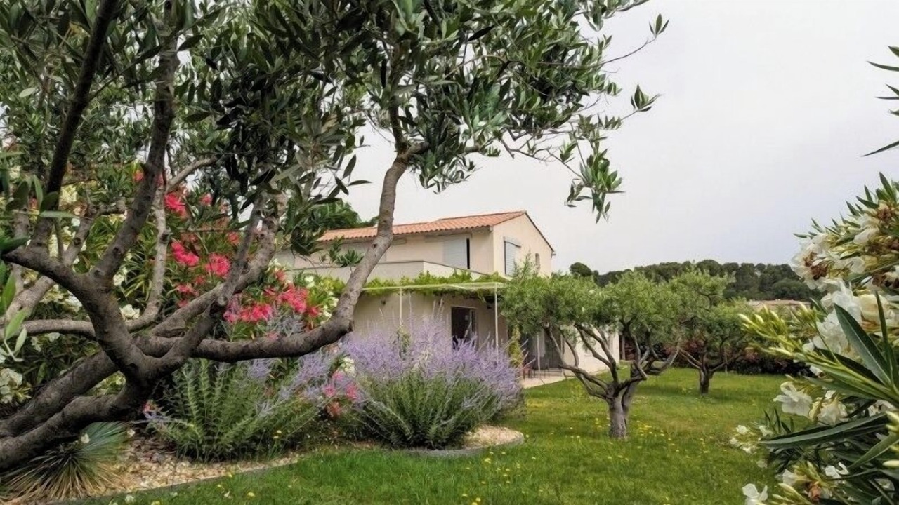 Photo of Outdoor in Vaison-la-Romaine