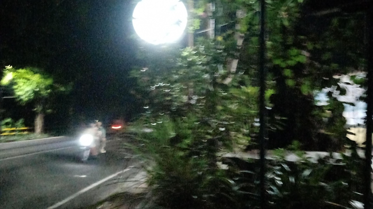 Photo of Outdoor in Batuan