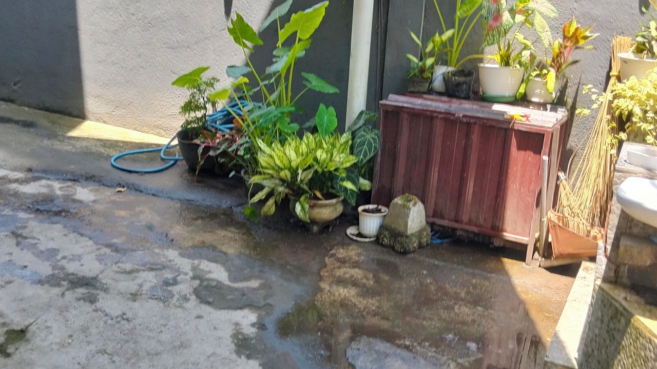 Photo of Outdoor in Batuan