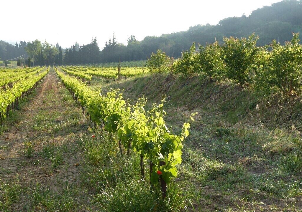 Photo of Outdoor in Bagnols-sur-Ceze