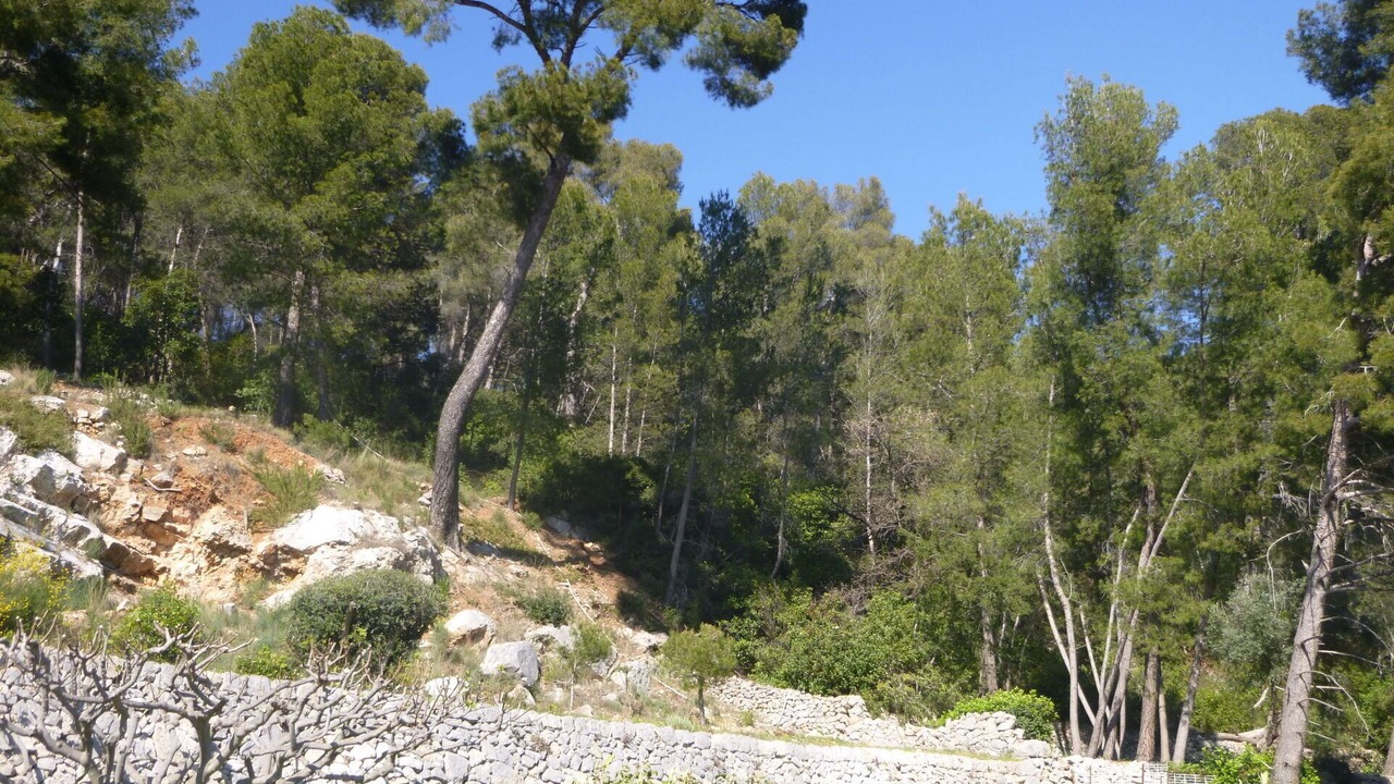 Photo of Others in La Valette-du-Var