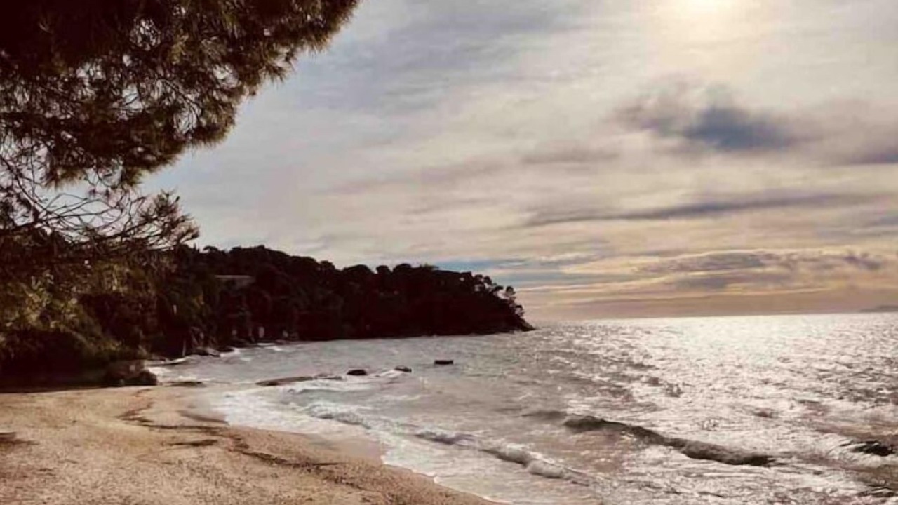 Photo of Others in Rayol-Canadel-sur-Mer