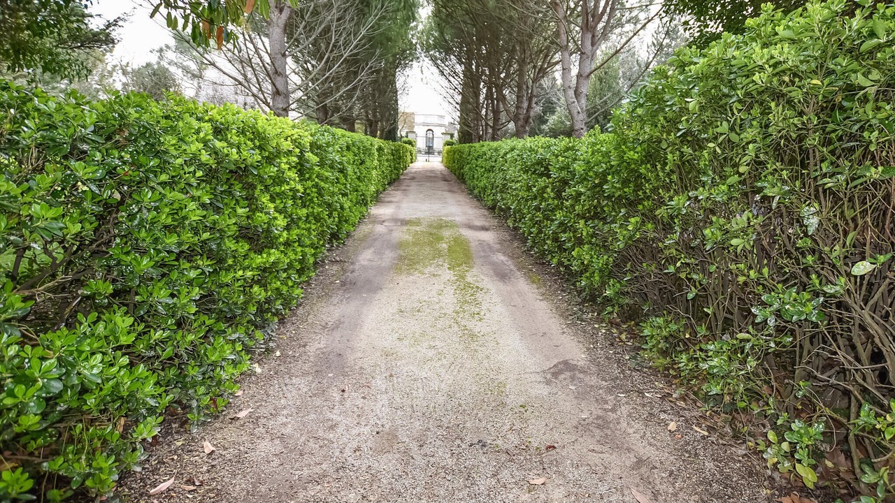 Photo of Others in Entraigues-sur-la-Sorgue