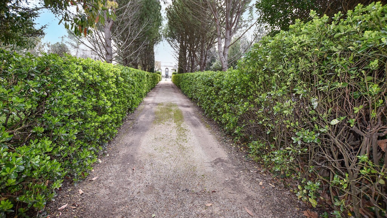 Photo of Others in Entraigues-sur-la-Sorgue