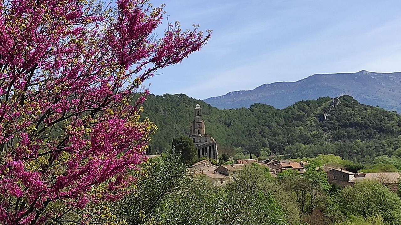 Photo of Outdoor in Eygaliers