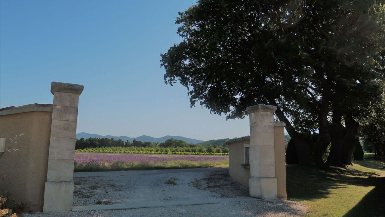 Photo of Others in Grillon