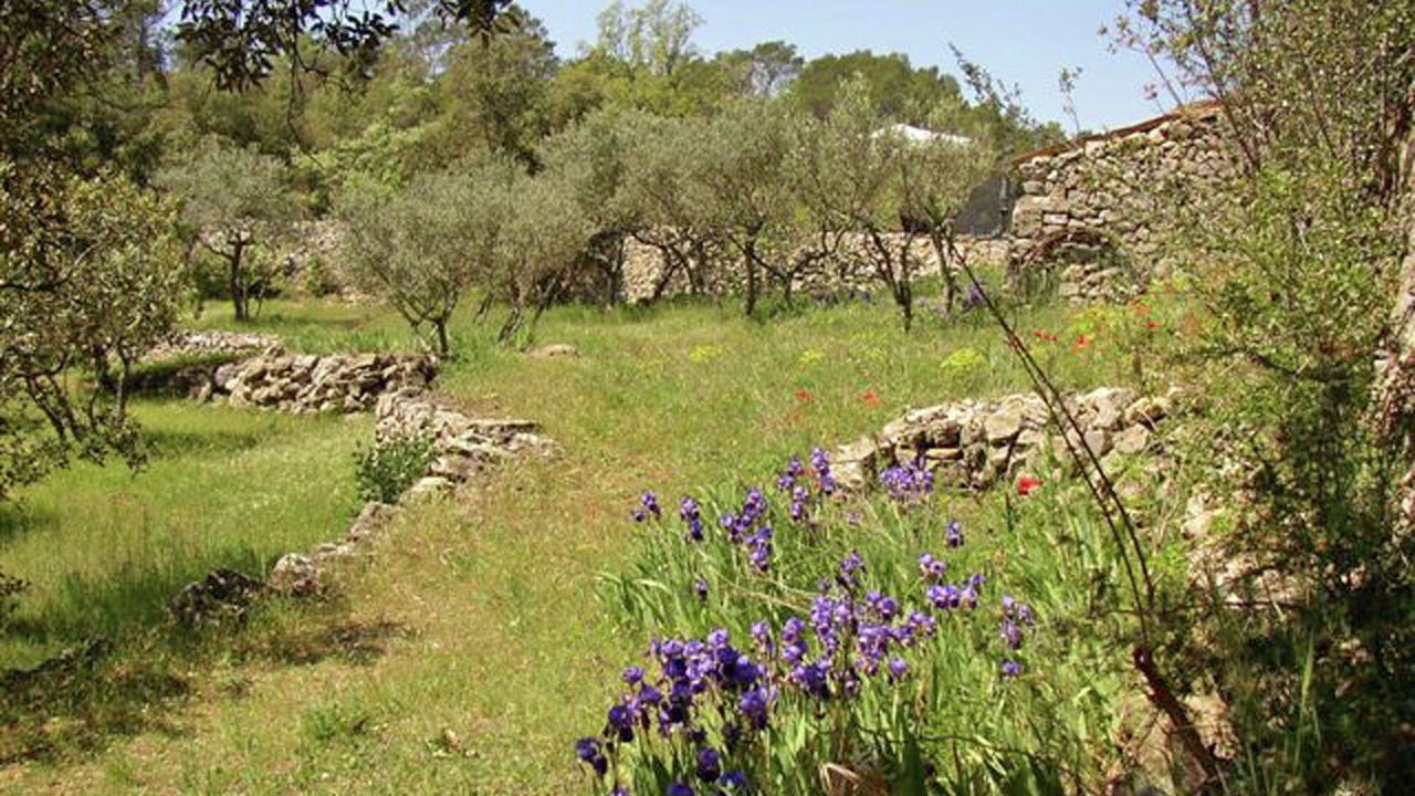 Photo of Outdoor in Carces