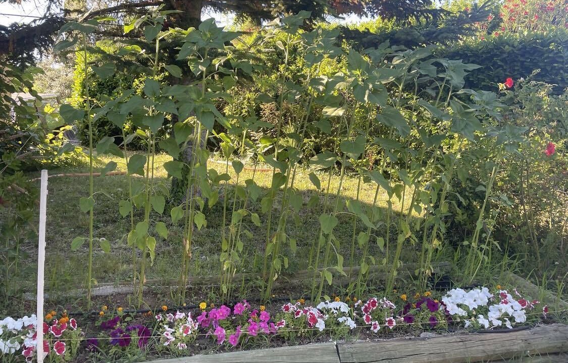 Photo of Outdoor in Venelles