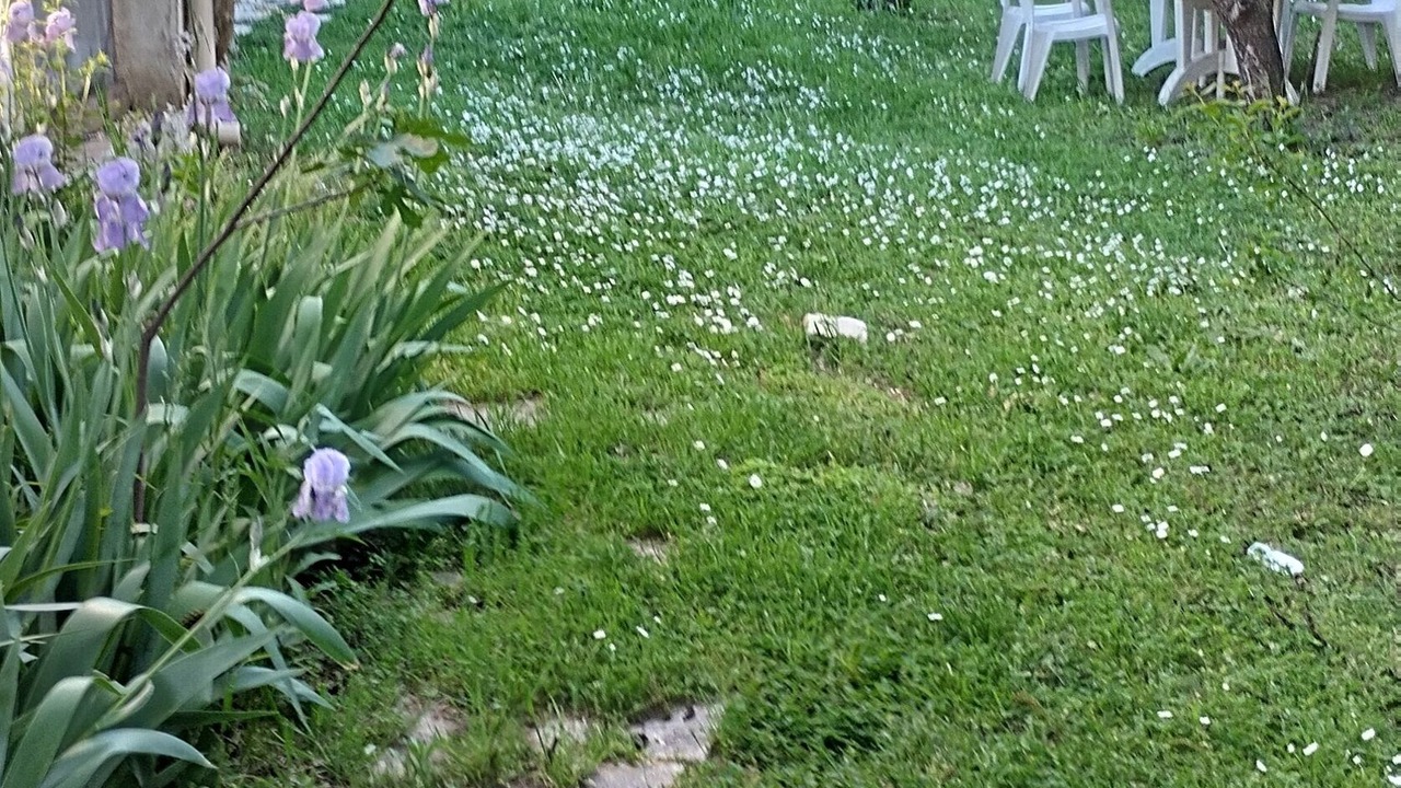 Photo of Outdoor in Molleges