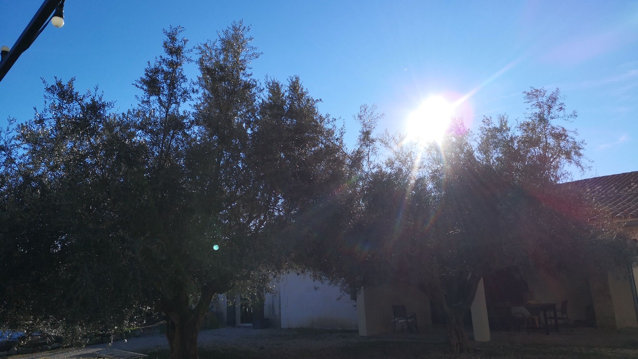Photo of Outdoor in Boulbon