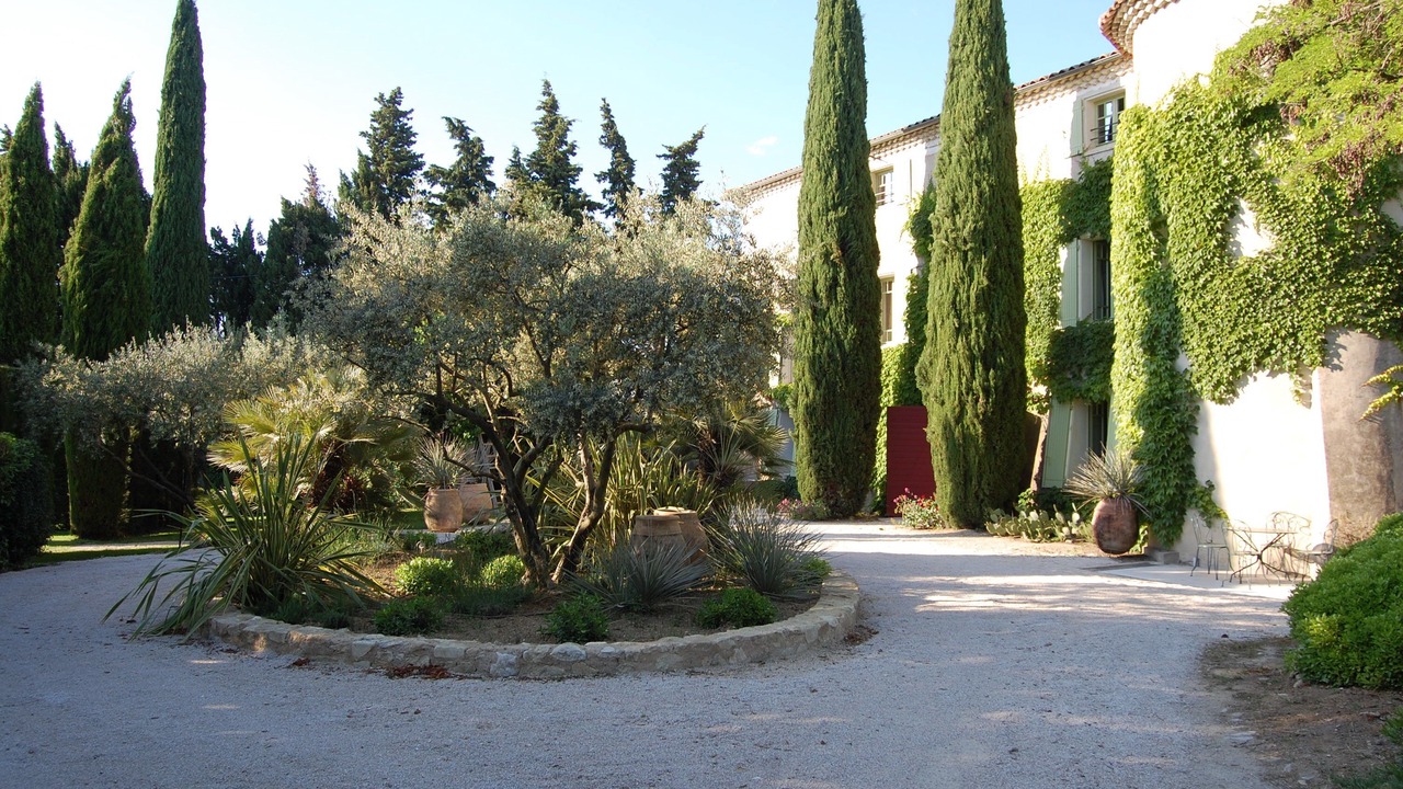 Photo of Outdoor in Vacqueyras