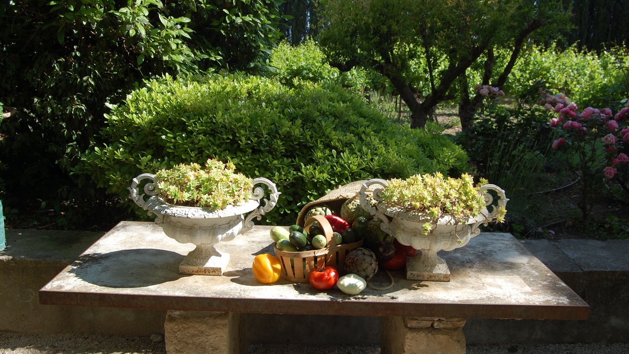 Photo of Outdoor in Vacqueyras