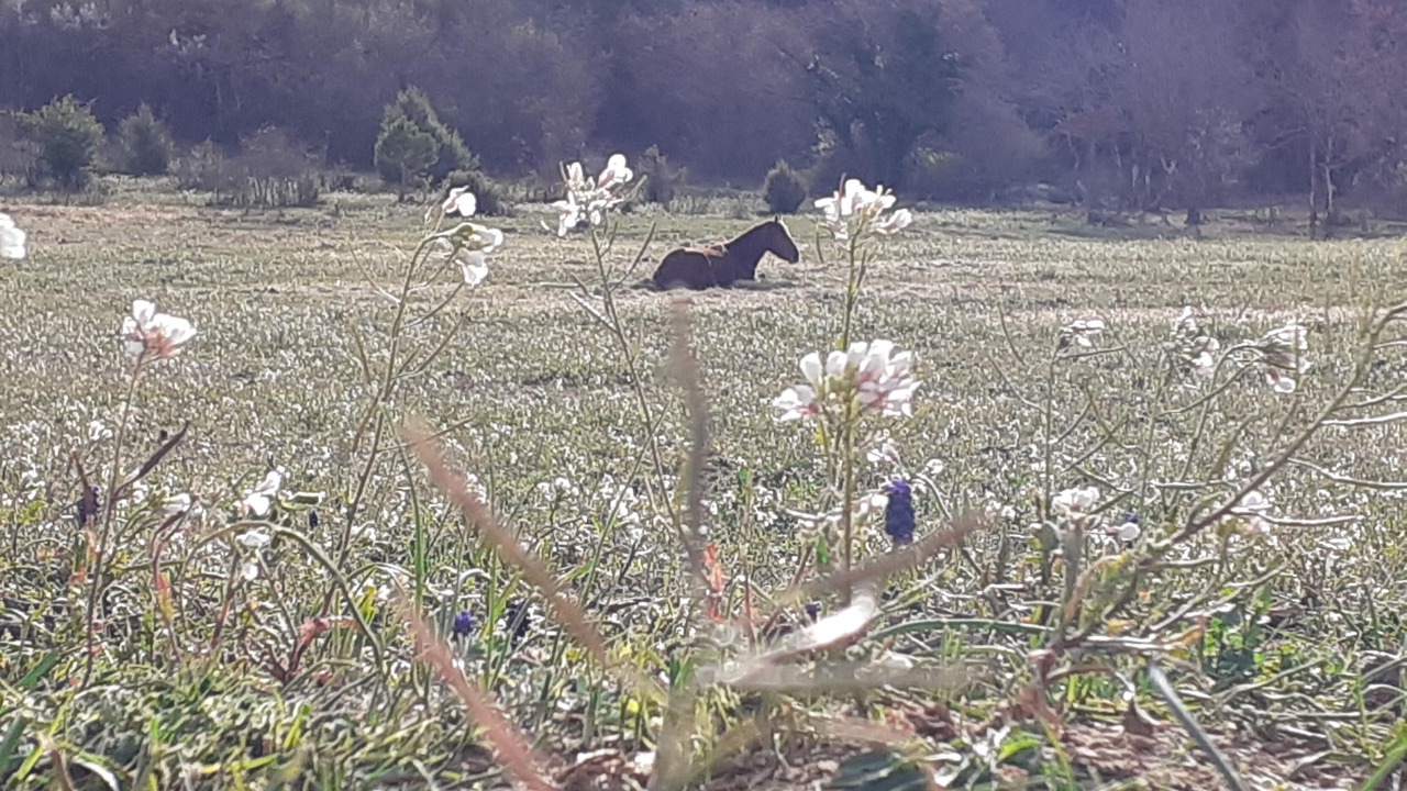 Photo of Others in Artignosc-sur-Verdon