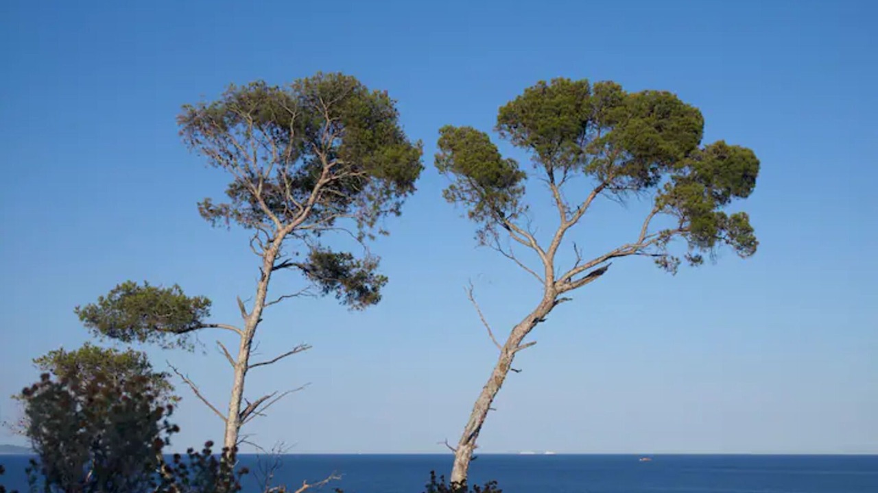 Photo of Others in Cap Benat