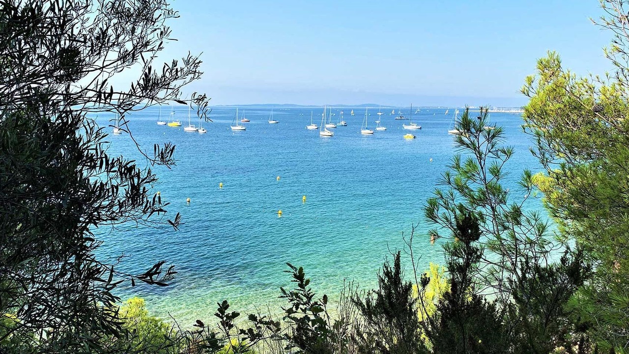 Photo of Others in La Londe-les-Maures