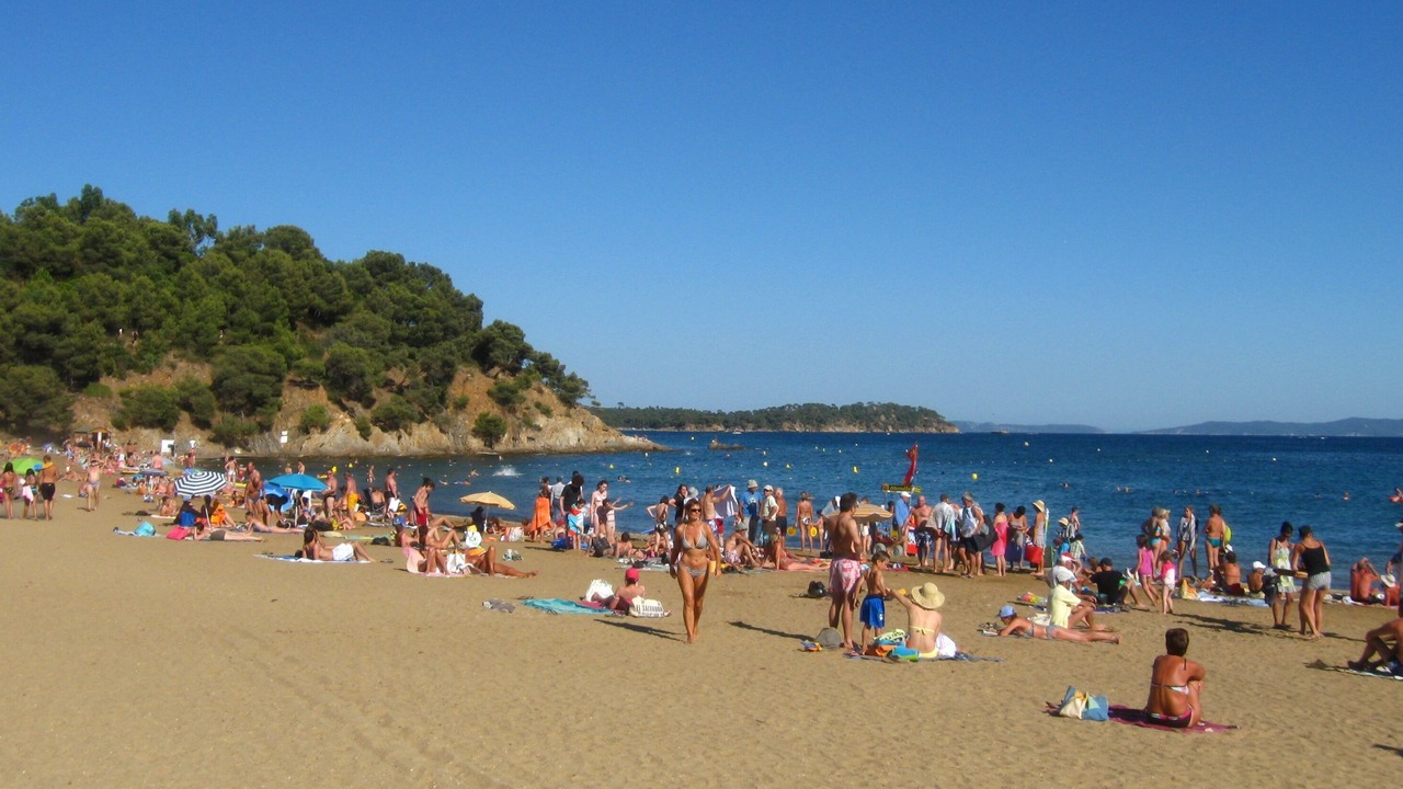 Photo of Others in La Londe-les-Maures