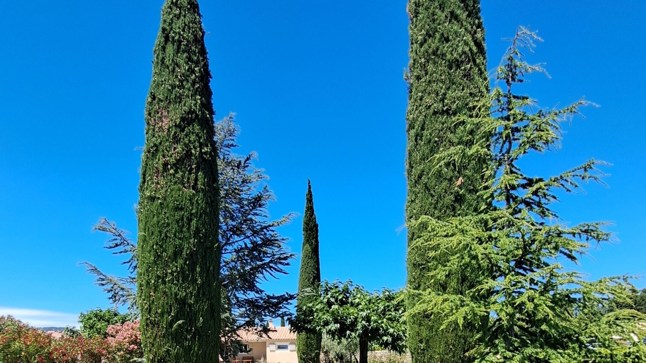 Photo of Outdoor in Caromb