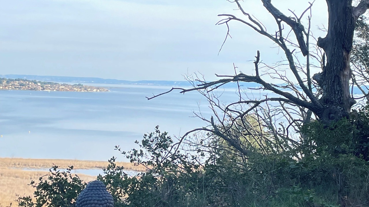 Photo of Outdoor in Miramas