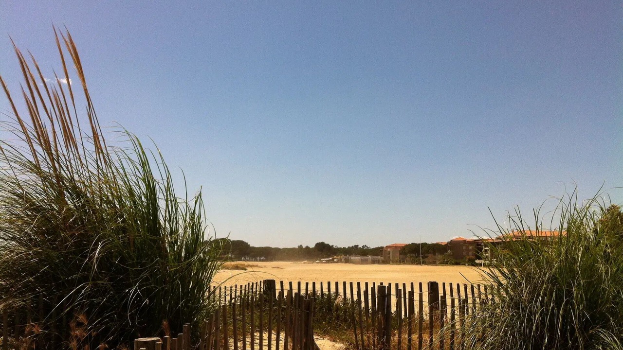 Photo of Outdoor in Miramar