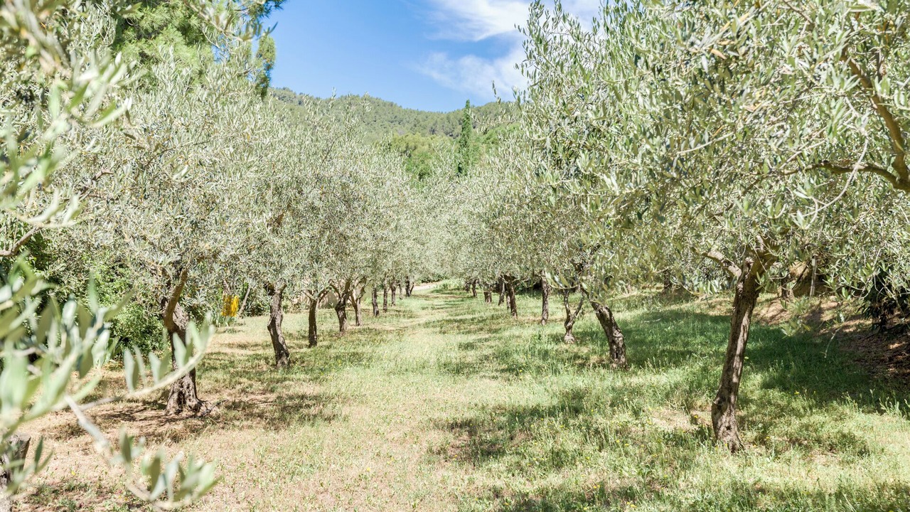 Photo of Outdoor in Saint-Zacharie