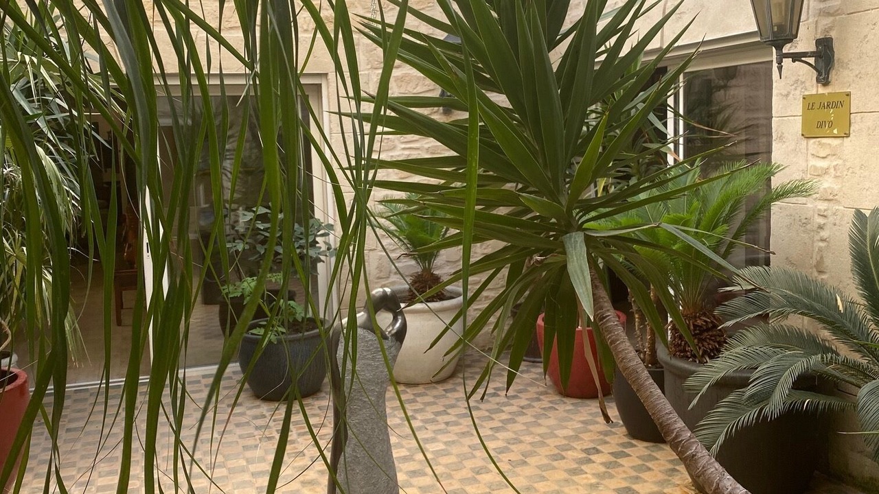 Photo of Outdoor in Trans-en-Provence