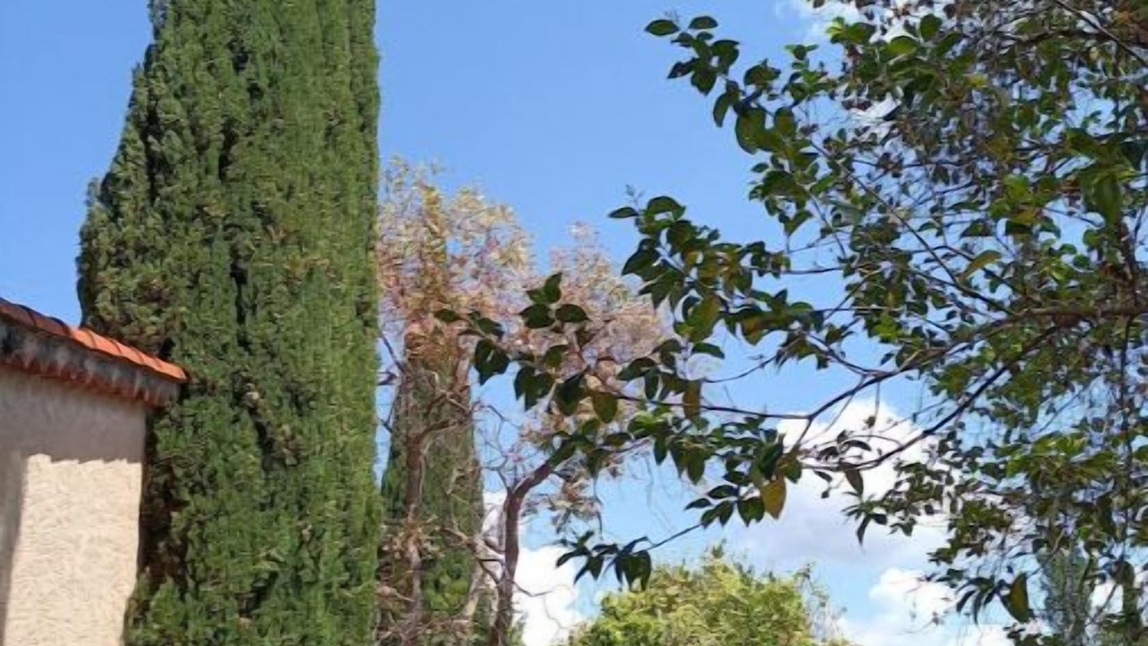 Photo of Outdoor in Le Mitan