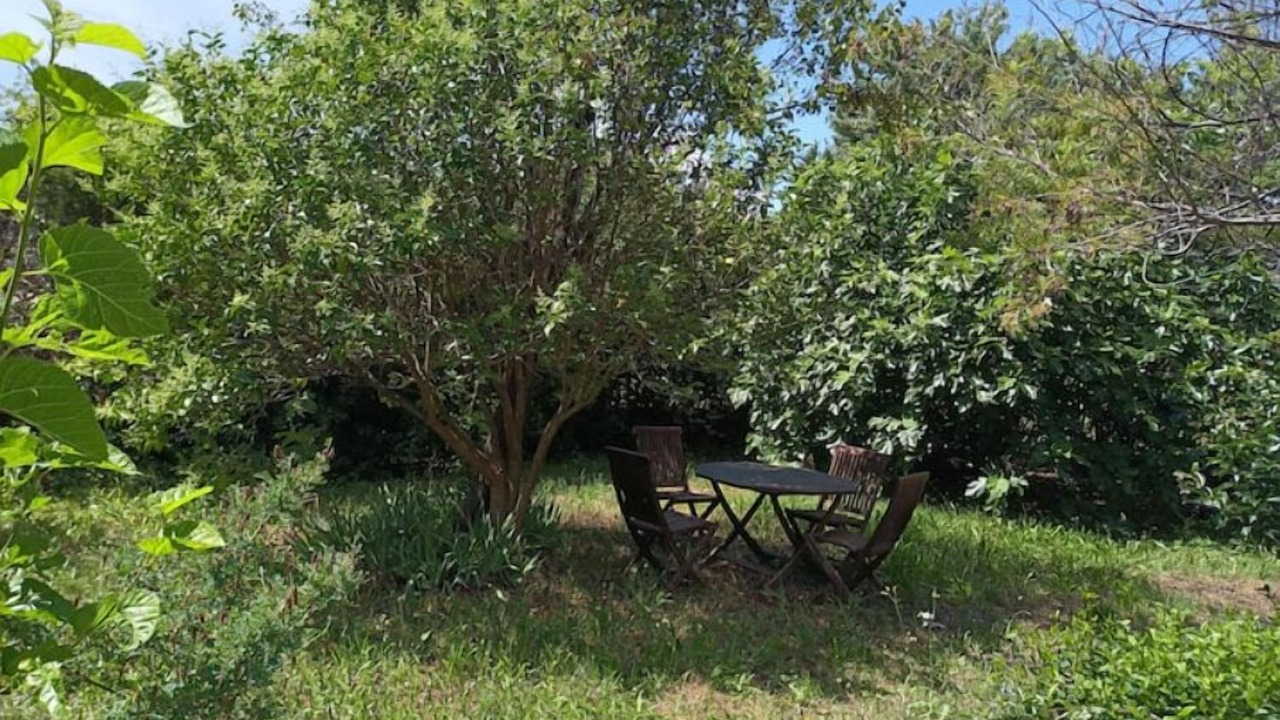 Photo of Outdoor in Le Mitan