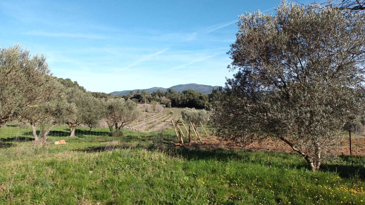 Photo of Outdoor in Carnoules