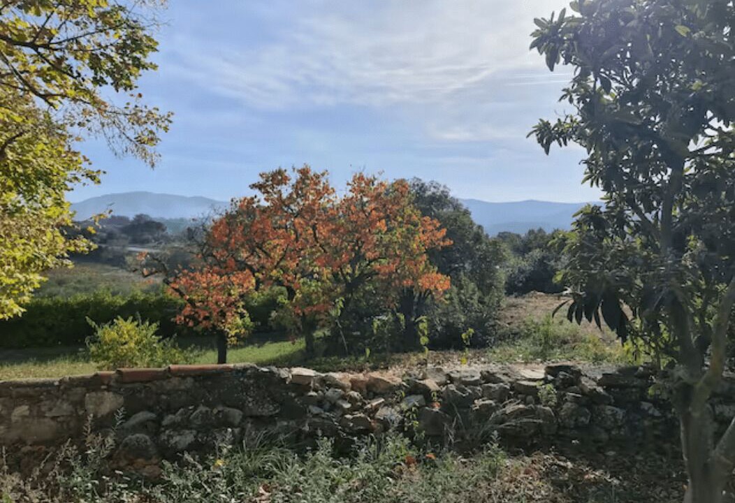 Photo of Outdoor in Carnoules