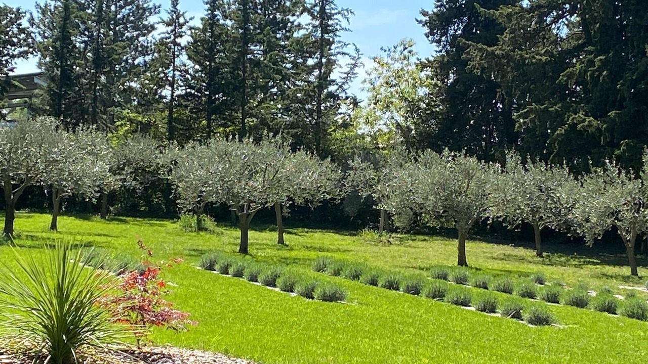 Photo of Outdoor in Valreas