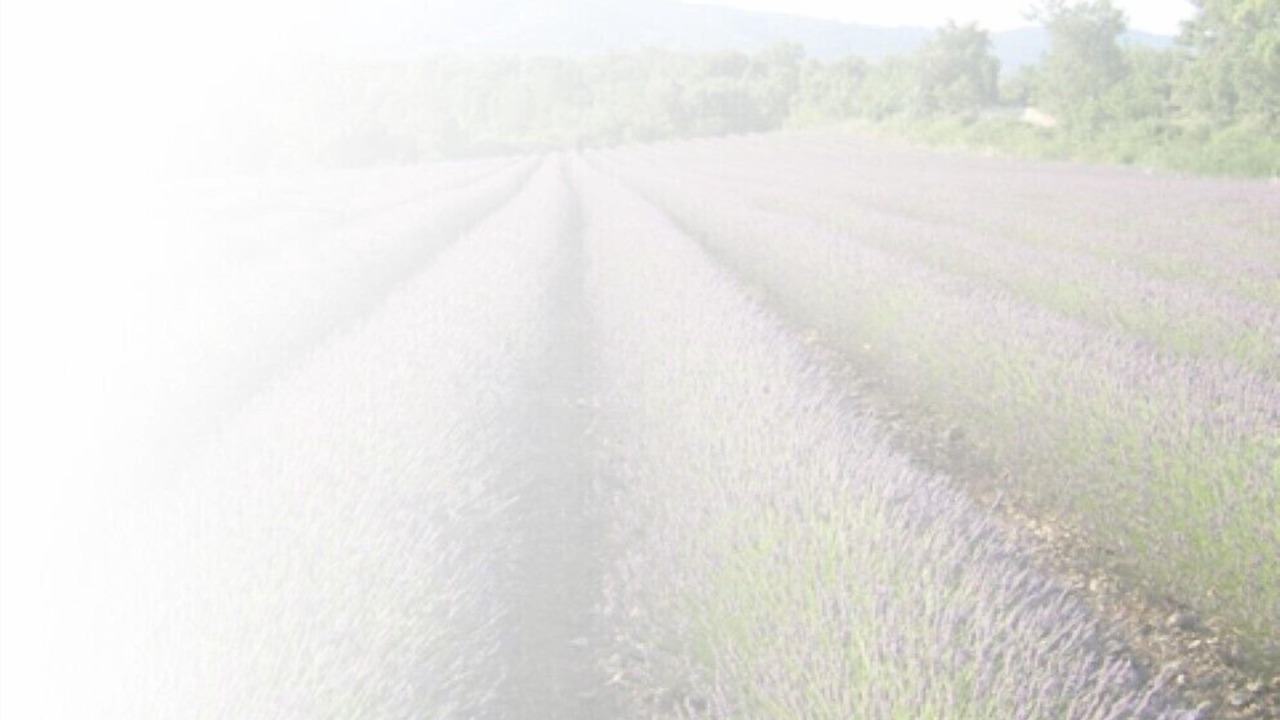 Photo of Outdoor in Saignon