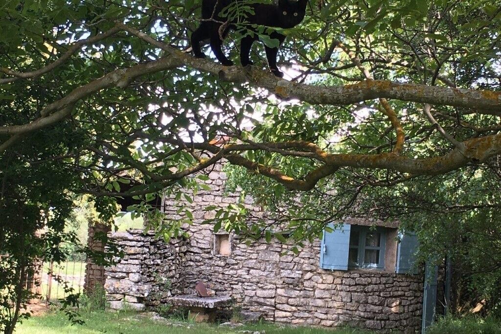 Photo of Outdoor in Saignon